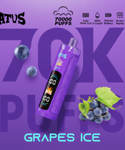 ATVS 70000 70K Puffs DTL/MTL Modes LED Display Disposable DTL in Grape Ice flavor