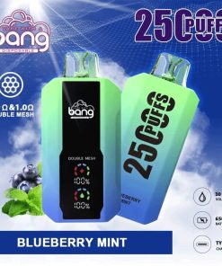 Bang 25000 25k Puffs 0% 2% 3% 5% Nicotine New LED Display Vape Pod in Blueberry Mint flavor
