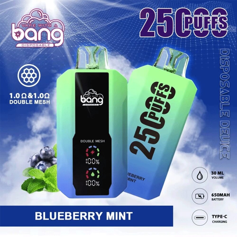 Bang 25000 25k Puffs 0% 2% 3% 5% Nicotine New LED Display Vape Pod in Blueberry Mint flavor