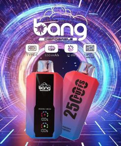 Bang 25000 25.000 Züge 0,1 % 3 % 3 % 5 % Nikotin Neues LED-Display Vape-Pod Produktbild