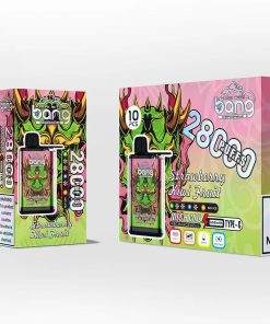 Bang 28000 28K Puffs Adjustable Ice level Disposable random flavor option image