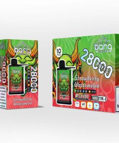 Bang 28000 28K Puffs Adjustable Ice level Disposable random flavor option image
