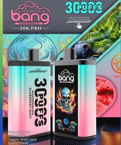 Bang 30K PRO 30000 Puffs Dual Flavor LED Disposable Vape in Watermelon & Blueberry Mint flavor