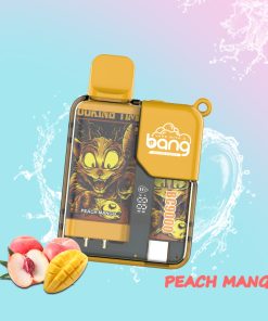 Bang Box 9000 Puffs Original Edition LED Display Disposable Vape in Bang Box 9000 flavor