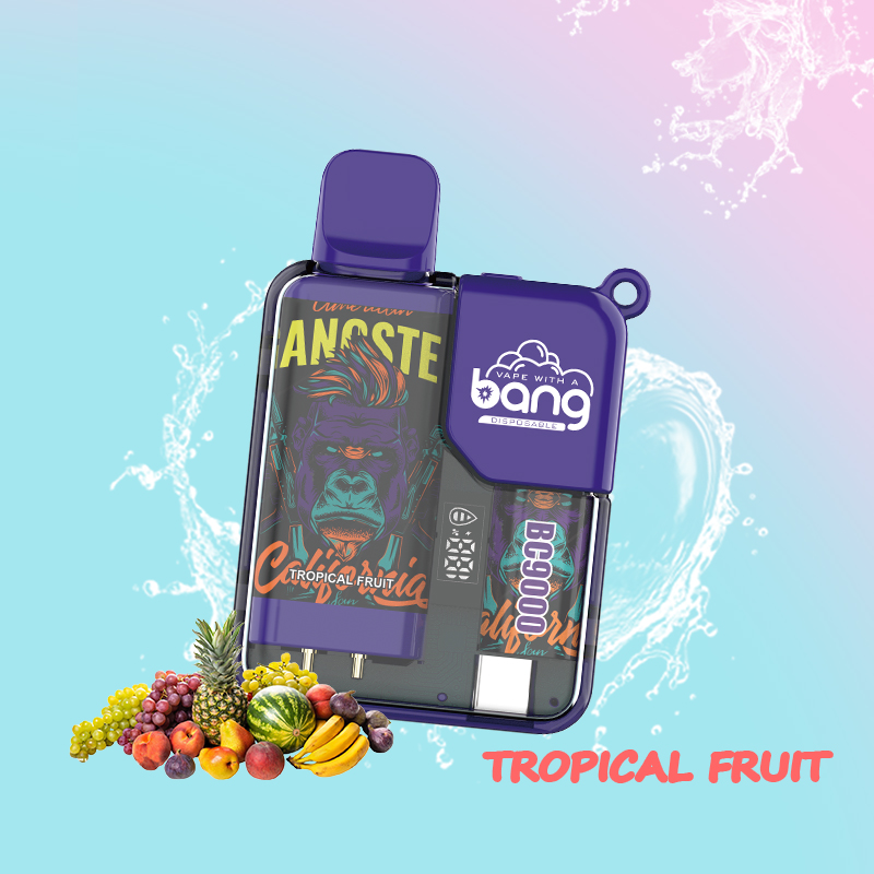 Bang Box 9000 Puffs Original Edition LED Display Disposable Vape in Bang Box 9000 flavor