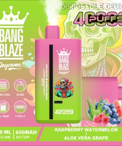 Bang Blaze 40000 40K Puffs 2% 3% 5% Nicotine Double Taste Disposable Vape in Grape & Blueberry Grape flavor