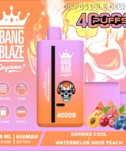 Bang Blaze 40000 40K Puffs 2% 3% 5% Nicotine Double Taste Disposable Vape in Random Mix flavor