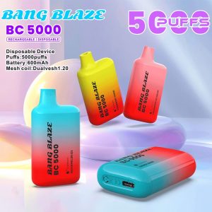 Bang Blaze BC5000 5K Puffs 2% 3% 5% Disposable Vape product image