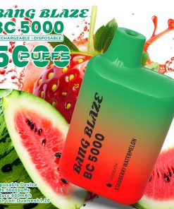Bang Blaze BC5000 5K Puffs 2% 3% 5% Disposable Vape in Strawberry Kiwi flavor
