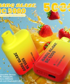 Bang Blaze BC5000 5K Puffs 2% 3% 5% Disposable Vape in Strawberry Mango flavor