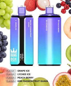 Bang Box 160000 160K Puffs 4 In 1 Flavors Rechargeable LED Display Disposable Vape in Grape Ice & Lychee Ice & Peach Berry & Kiwi Passion Fruit Guava