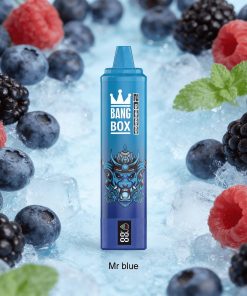 Bang Box 20000 20K Puffs LED Display Edition Disposable in Mr Blue flavor
