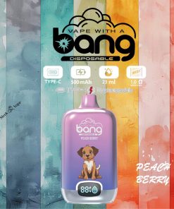 Bang Digital Box 15000 Puffs Original Edition Disposable Vape Pen in Bang Digital Box 15000 flavor