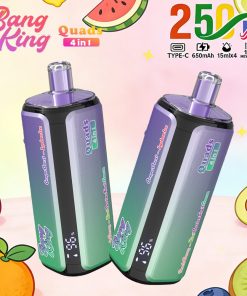 Bang King 250000 250K Puffs 4 In 1 Flavors Rechargeable LED Display Disposable Vape in Grape Burst & Lychee Ice & Peach Berry & Kiwi Passion Fruit Guava