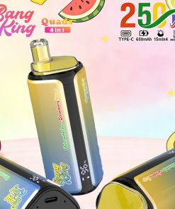 Bang King 250.000 (250K) boccate, 4 gusti in 1, vaporizzatore usa e getta ricaricabile con display LED, confezione da 2 pezzi (non è possibile scegliere il gusto)