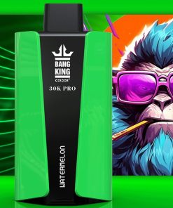 Bang King 30000 Pro – Einweg-E-Zigarette mit 30.000 Zügen (30K) im Geschmack „Wassermelone“