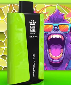 Bang King 30000 Pro 30000 30K Puffs Disposable in Fresh Mint flavor