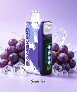 Bang King Ice Cool 60000 60K Puffs Adjustable Ice Level LED Display Disposable Vape Japan warehouse in bang king ice cool 60000 japan warehouse grape ice