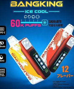 Bang King Ice Cool 60000 60K Puffs Adjustable Ice Level LED Display Disposable Vape Japan warehouse product image