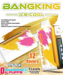 Bang King Ice Cool 60000 60K Puffs Adjustable Ice level LED Display Disposable Vape product image
