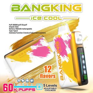 Bang King Ice Cool 60000 60K Puffs Adjustable Ice level LED Display Disposable Vape product image