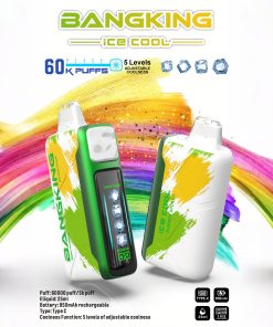 Bang King Ice Cool 60000 60K Puffs Adjustable Ice level LED Display Disposable Vape in Summer Splash flavor