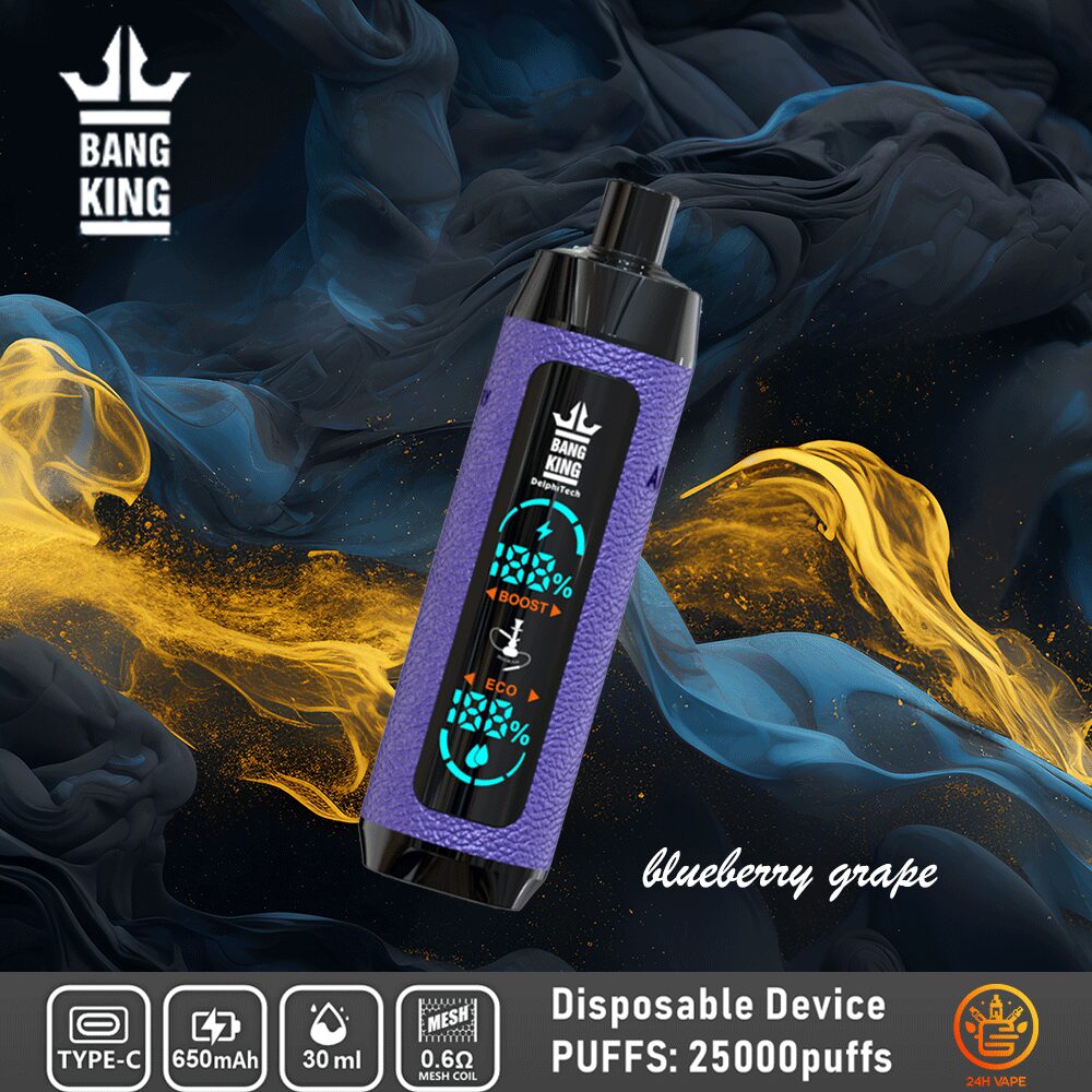 Bang King Shisha 25000 (25.000 boccate) con display LED, in pelle, usa e getta, al gusto di mirtillo e uva