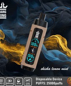 Bang King Shisha 25000 (25.000 boccate) con display LED, in pelle, usa e getta, al gusto di shisha, limone e menta