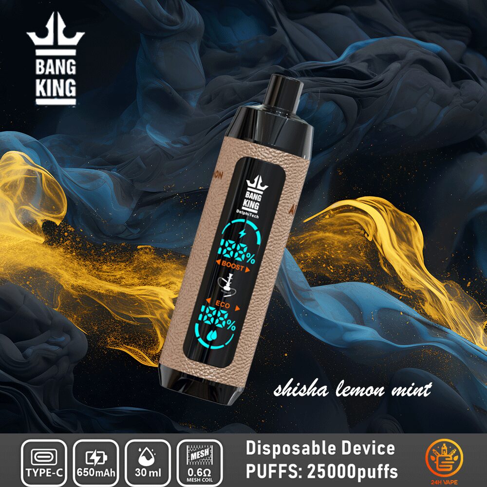 Bang King Shisha 25000 (25.000 boccate) con display LED, in pelle, usa e getta, al gusto di shisha, limone e menta