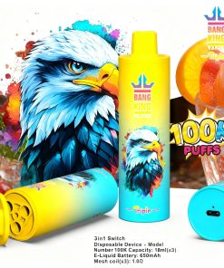 Bang King Triple 100000 100K Puffs 3 in 1 Flavors Rechargeable Disposable Vape in Lemon Lime + Strawberry Watermelon + Blueberry Ice flavor