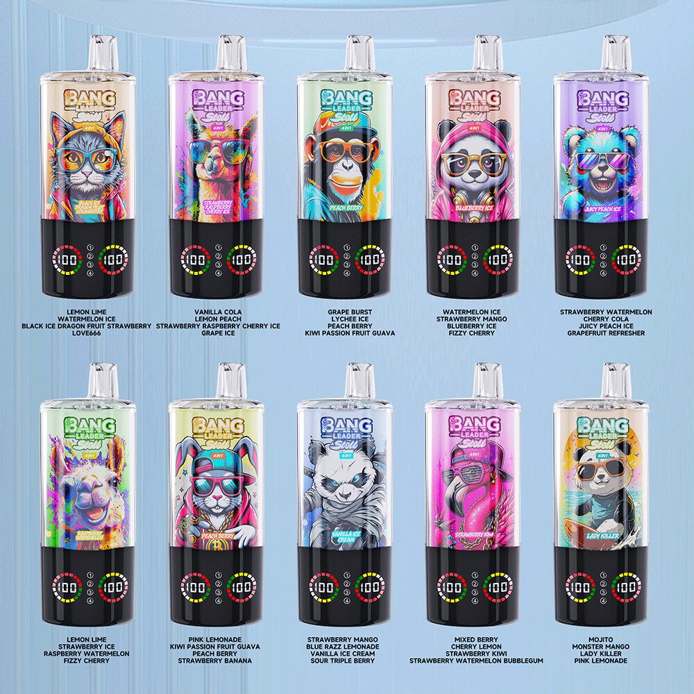 Bang Leader Stoll 100K 100000 Puffs 4 flavor options image