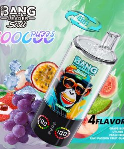 Bang Leader Stoll 100K 100000 Puffs 4 in 1 Flavors & Quad Mesh Coil LED Display Disposable Vape in Grape Burst & Lychee Ice & Peach Berry & Kiwi Fruit