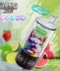 Bang Leader Stoll 100K 100000 Puffs 4 in 1 Flavors & Quad Mesh Coil LED Display Disposable Vape in Lemon Lime & Strawberry Ice & Raspberry Watermelon &