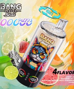 Bang Leader Stoll 100K 100000 Puffs 4 in 1 Flavors & Quad Mesh Coil LED Display Disposable Vape product detail image