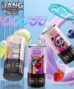 Bang Leader Stoll 100K 100000 Puffs 4 in 1 Flavors & Quad Mesh Coil LED Display Disposable Vape product image