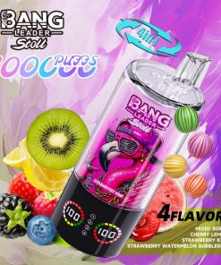 Bang Leader Stoll 100K 100000 Puffs 4 in 1 Flavors & Quad Mesh Coil LED Display Disposable Vape in Random Mix flavor