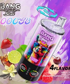 Bang Leader Stoll 100K 100000 Puffs 4 in 1 Flavors & Quad Mesh Coil LED Display Disposable Vape in Vanilla Cola & Lemon Peach & Strawberry Raspberry