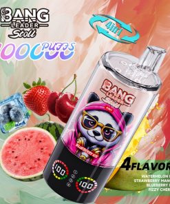 Bang Leader Stoll 100K 100000 Puffs 4 in 1 Flavors & Quad Mesh Coil LED Display Disposable Vape in Watermelon Ice & Strawberry Mango & Blueberry Ice &