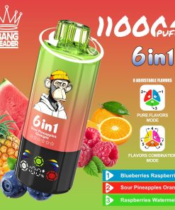 Bang Leader 110000 110K Puffs 6 in 1 Flavors Rechargeable LED Display Disposable Vape in Blueberries Raspberries & Sour Pineapples Oranges & Raspberries
