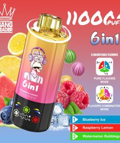 Bang Leader 110000 110K Puffs 6 in 1 Flavors Rechargeable LED Display Disposable Vape in Blueberry Ice & Raspberry Lemon & Watermelon Bubblegum flavor