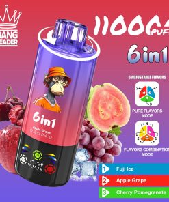 Bang Leader 110000 110K Puffs 6 in 1 Flavors Rechargeable LED Display Disposable Vape in Fuji Ice & Apple Grape & Cherry Pomegranate flavor