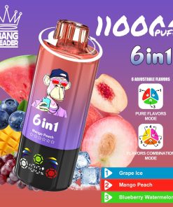 Bang Leader 110000 110K Puffs 6 in 1 Flavors Rechargeable LED Display Disposable Vape in Grape Ice & Mango Peach & Blueberry Watermelon flavor