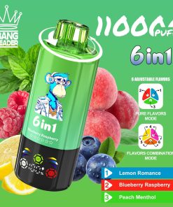 Bang Leader 110000 110K Puffs 6 in 1 Flavors Rechargeable LED Display Disposable Vape in Lemon Romance & Blueberry Raspberry & Peach Menthol flavor