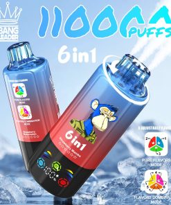 Bang Leader 110000 110K Puffs 6 in 1 Flavors Rechargeable LED Display Disposable Vape product image