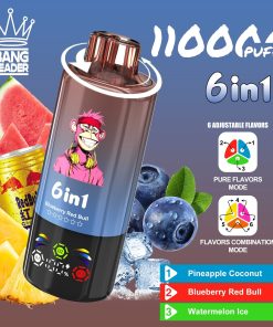 Bang Leader 110000 110K Puffs 6 in 1 Flavors Rechargeable LED Display Disposable Vape in Pineapple Coconut & Blueberry Red Bull & Watermelon Ice flavor