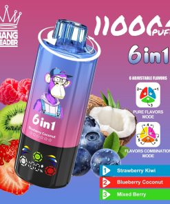 Bang Leader 110000 110K Puffs 6 in 1 Flavors Rechargeable LED Display Disposable Vape in Random Mix flavor