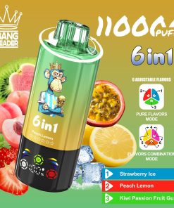Bang Leader 110000 110K Puffs 6 in 1 Flavors Rechargeable LED Display Disposable Vape in Strawberry Ice & Peach Lemon & Kiwi Passion Fruit Guava flavor