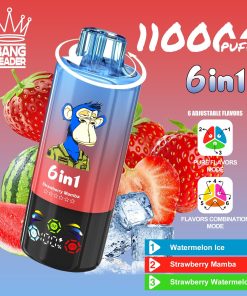 Bang Leader 110000 110K Puffs 6 in 1 Flavors Rechargeable LED Display Disposable Vape in Watermelon Ice & Strawberry Mamba & Strawberry Watermelon flavor
