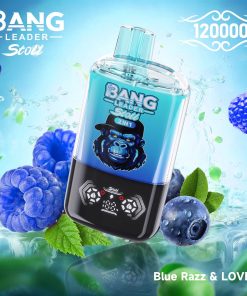 Bang Leader Stoll 120K – 120.000 trekjes – dubbele smaak & lekvrij ontwerp – LED-display – wegwerpvape in de smaken Blue Razz & Love 66