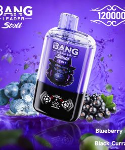 Bang Leader Stoll 120K 120000 Puffs Double Taste&Anti-Leak Design LED Display Disposable Vape in Blueberry Ice & Black Currant flavor